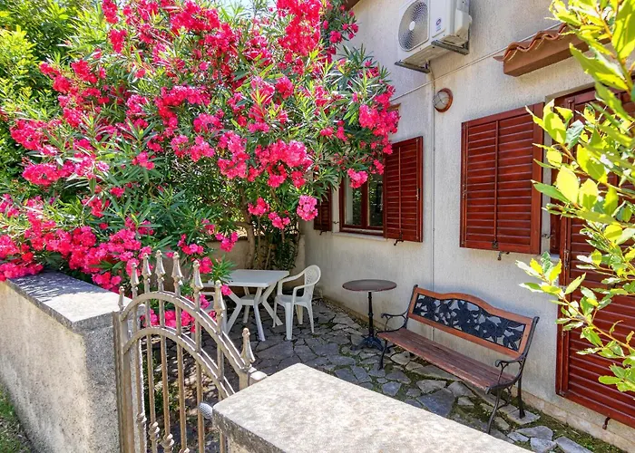 Apartment Vlado